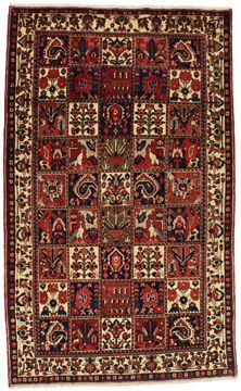 Teppich Bakhtiari Garden 261x158